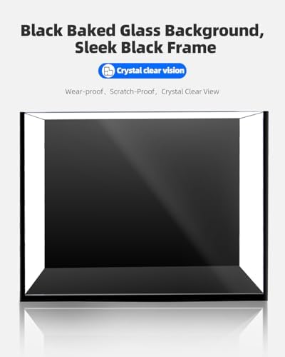 5 Gallon Glass Fish Tank, Ultra-Clear Small Aquarium