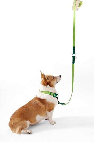 Medium Luna 8FT Adjustable 6-in-1 Waterproof Hands-Free Leash and Collar Set with LED Flashlight, Waste Bag Dispenser, and Poop Bag Holder, Green, Mojito WLK1005B-5SET