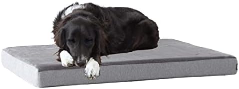 BarkBox Orthopedic Dog Bed - Large