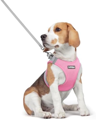 rabbitgoo Dog Harness Medium Sized and Leash Set, Step-in Puppy Pet Vest