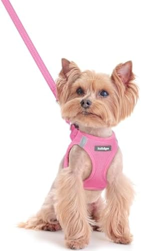 rabbitgoo Dog Harness Small Sized and Leash Set, Step-in Puppy Pet Vest