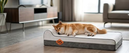 Laifug Orthopedic Memory Foam Extra Large Dog Bed with Pillow and Durable Waterproof Liner and Removable Washable Cover and Smart Design (Large (46" x 28" x 8"),Dark Green)