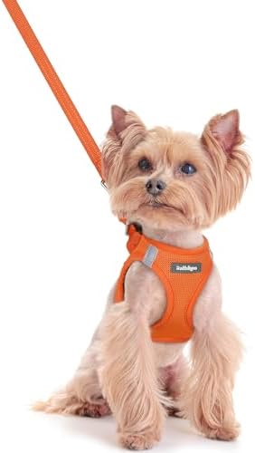 rabbitgoo Dog Harness Small Sized and Leash Set, Step-in Puppy Pet Vest