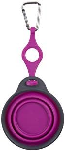 Dexas Pets Collapsible Travel Pet Cup with Bottle Holder and Carabiner, Fuchsia