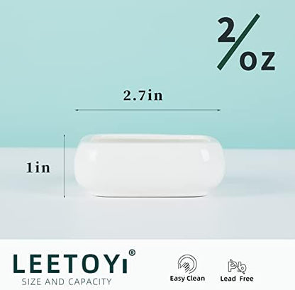 Ceramic Reptile Food Bowls, Reptile Water Food Dish, White, Small 2 Pack