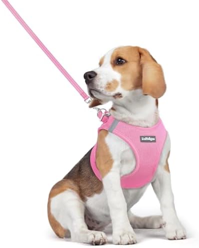 rabbitgoo Dog Harness Medium Sized and Leash Set, Step-in Puppy Pet Vest