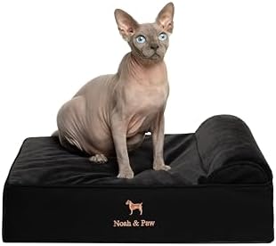 NOAH & PAW Small Dog Bed, 20x15x6.5 Inch, Cat Bed for Indoor Cats, Orthopedic Eggshell Memory Foam Infused with Cooling Gel, Water Resistant, Machine Washable, Includes Inner Cover (Denim Collection)