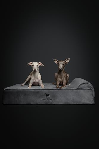 NOAH & PAW Large Dog Bed, 35x25x8.7 Inch, Orthopedic Dog Beds, Eggshell Memory Foam Infused with Cooling Gel, Water Resistant, Machine Washable, Includes Inner Cover (Velvet Collection)