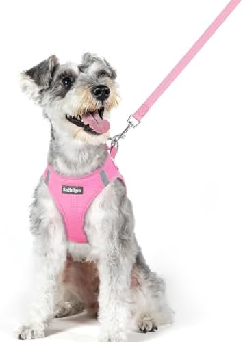 rabbitgoo Dog Harness Medium Sized and Leash Set, Step-in Puppy Pet Vest