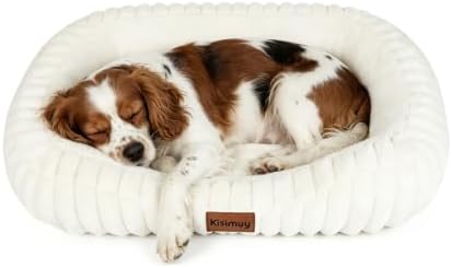 Orthopedic Dog Bed, Washable Small Dog Couch for Senior Dogs