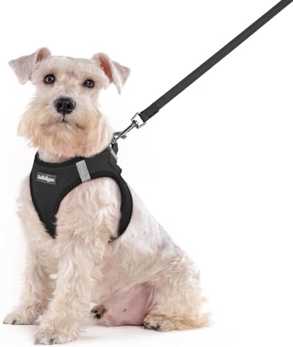 rabbitgoo Dog Harness Medium Sized and Leash Set, Step-in Puppy Pet Vest