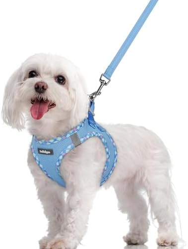rabbitgoo Dog Harness Medium Sized and Leash Set, Step-in Puppy Pet Vest