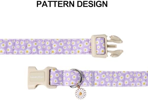 Lionet Paws Floral Dog Collar- Cute Daisy Purple Dog Collars with Plastic Buckle, Light Adjustable Dog Collars for Small Dogs