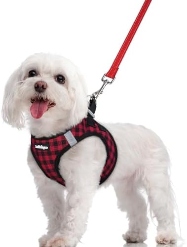 rabbitgoo Dog Harness Medium Sized and Leash Set, Step-in Puppy Pet Vest