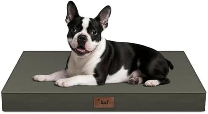 Orthopedic Waterproof Dog Bed for Small Dogs and Cats