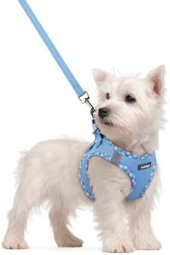 rabbitgoo Dog Harness Small Sized and Leash Set, Step-in Puppy Pet Vest