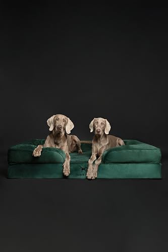 NOAH & PAW Giant Dog Bed XXL, 55x45x11 Inch, Orthopedic Dog Beds, Eggshell Memory Foam Infused with Cooling Gel, Inner Cover, Water Resistant, Machine Washable (Velvet Sofa Collection)