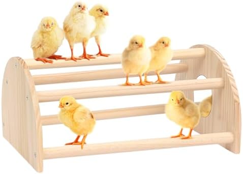 Pine Chicks Perch with Mirror, Strong Chick Jungle Gym Roosting Bar, Chicken Perch Toys for Coop and Brooder, Training Perch Toys for Large Bird, Parrot, Macaw, Hens (Large)