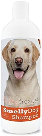 Healthy Breeds Labrador Retriever Smelly Dog Baking Soda Shampoo 8 oz