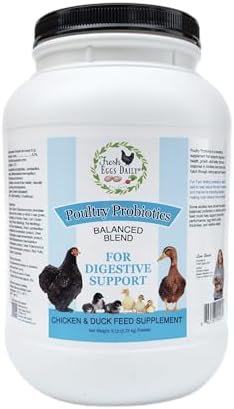 Fresh Eggs Daily Poultry Probiotics Feed Supplement – Natural Digestive & Immune Support for Chickens & Ducks – Enhances Egg Quality & Reduces Odor – 6 lb