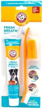 Arm & Hammer Enzymatic Dog Dental Care Kit, Chicken Flavor, 2.5 Oz Tube