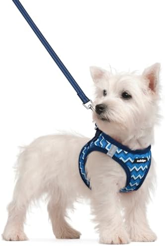 rabbitgoo Dog Harness Small Sized and Leash Set, Step-in Puppy Pet Vest