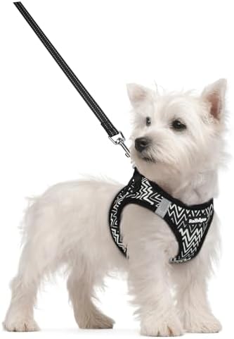 rabbitgoo Dog Harness Small Sized and Leash Set, Step-in Puppy Pet Vest