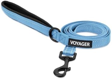 Best Pet Supplies Voyager Nylon Dog Leash - Baby Blue, Small