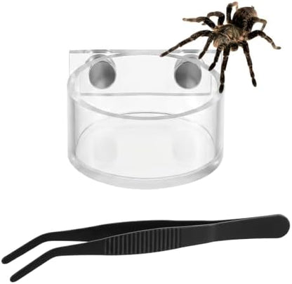 Jumping Spider Feeding Dish Set, Water Bowl with Tweezer