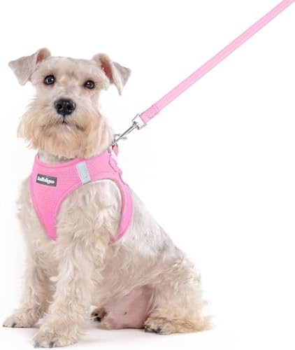 rabbitgoo Dog Harness Medium Sized and Leash Set, Step-in Puppy Pet Vest