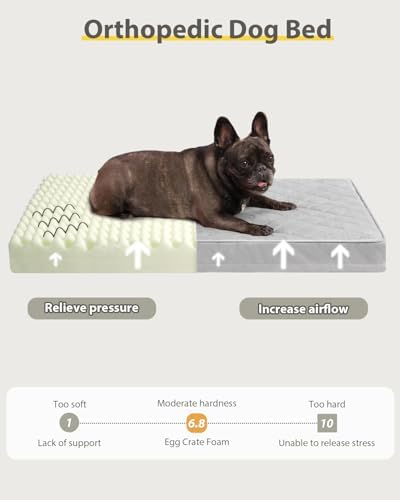 NUPIDA Orthopedic Medium Dog Bed for Crate with Washable Cover, 29x18