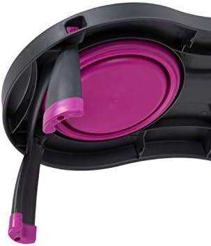 Dexas Pets Double Elevated Pet Feeder, Fuchsia, Small/1 Cup Capacity Bowls (PW1004322405) (Pack of 2)