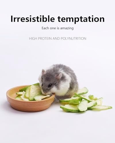 Niteangel Hamster Snack & Treats Toy: Freeze-Dried Zucchini & No Additive