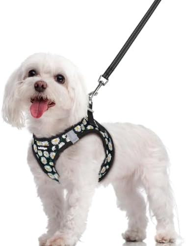 rabbitgoo Dog Harness Medium Sized and Leash Set, Step-in Puppy Pet Vest