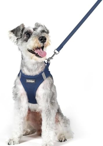 rabbitgoo Dog Harness Medium Sized and Leash Set, Step-in Puppy Pet Vest