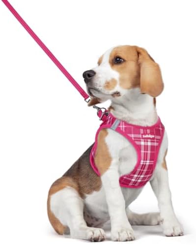 rabbitgoo Dog Harness Medium Sized and Leash Set, Step-in Puppy Pet Vest