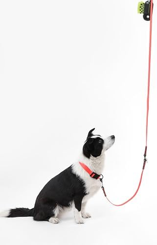 WLK1006M-5SET Luna Large 8FT Adjustable 6-in-1 Waterproof Hands-Free Leash and Collar with LED Flashlight, Bag Dispenser, and Poop Bag Holder, Shirley