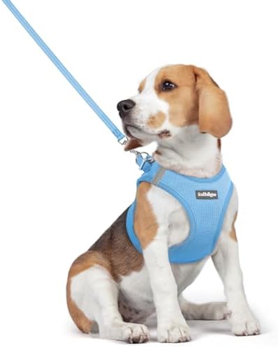 rabbitgoo Dog Harness Medium Sized and Leash Set, Step-in Puppy Pet Vest