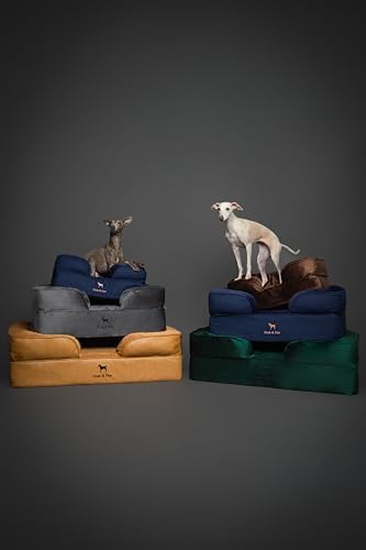NOAH & PAW Large Dog Bed, 35x25x11 Inch, Orthopedic Dog Beds, Eggshell Memory Foam Infused with Cooling Gel, Inner Cover, Water Resistant, Machine Washable (Faux Leather)