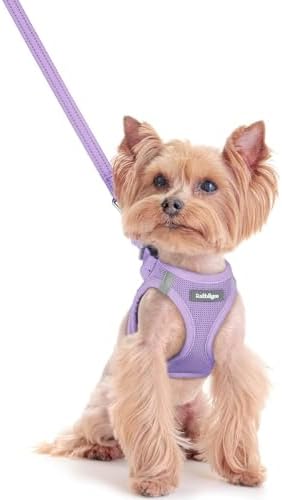 rabbitgoo Dog Harness Small Sized and Leash Set, Step-in Puppy Pet Vest