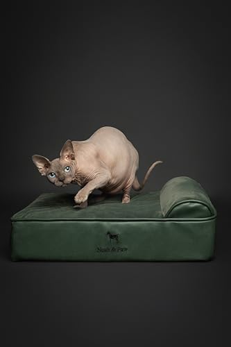 NOAH & PAW Small Dog Bed, 20x15x6.5 Inch, Cat Bed for Indoor Cats, Orthopedic Eggshell Memory Foam Infused with Cooling Gel, Water Resistant, Machine Washable, Includes Inner Cover (Faux Leather)
