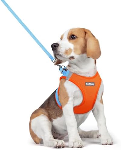 rabbitgoo Dog Harness Medium Sized and Leash Set, Step-in Puppy Pet Vest