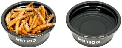 Lizard Crested Gecko Food Water Feeding Cups, 100 pcs, 0.5oz - Black