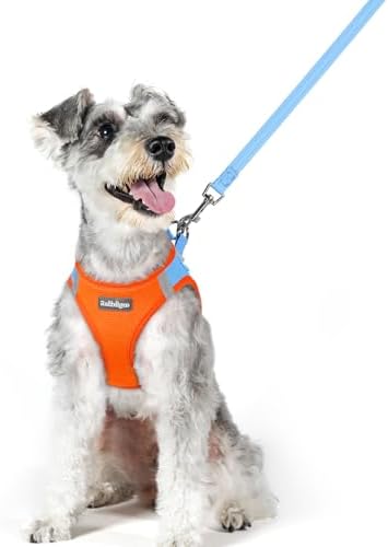 rabbitgoo Dog Harness Medium Sized and Leash Set, Step-in Puppy Pet Vest