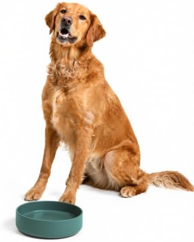 The Perfect Dish - Silicone Dog Bowl for Food & Water, 9.5" x 2.5"- Spruce