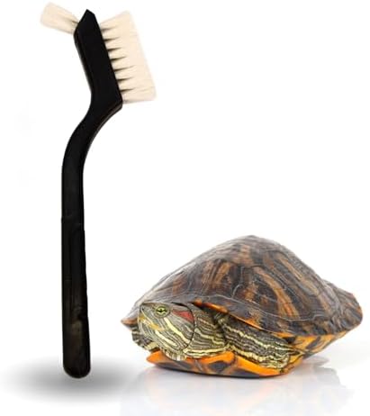 Turtle Cleaning Brush Remove Aquatic Mud, Dirt, & Contaminants from Tortoises Shells & Promoting Shell Health - Goat Hair Bristle Brush with Grip Rubber Handle - Black by Snout and Shell