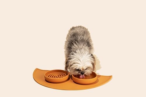 The Perfect Dish - Silicone Dog Bowl for Food & Water, 6" x 1.25"-Spruce