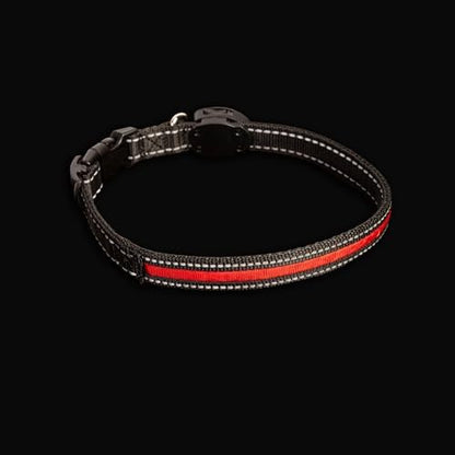 Sherry Kline LED Light-Up Pet Collar - USB Rechargeable - Flashing Glow in The Dark Size Small, Color: Red