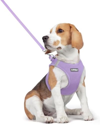 rabbitgoo Dog Harness Medium Sized and Leash Set, Step-in Puppy Pet Vest
