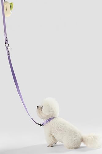 WLK1004H-5SET Luna Small 8FT Adjustable 6-in-1 Waterproof Hands-Free Leash and Collar with LED Flashlight, Bag Dispenser, and Poop Bag Holder, Bramble